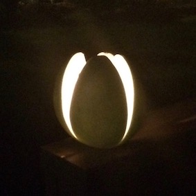 Fruit Skin Lantern