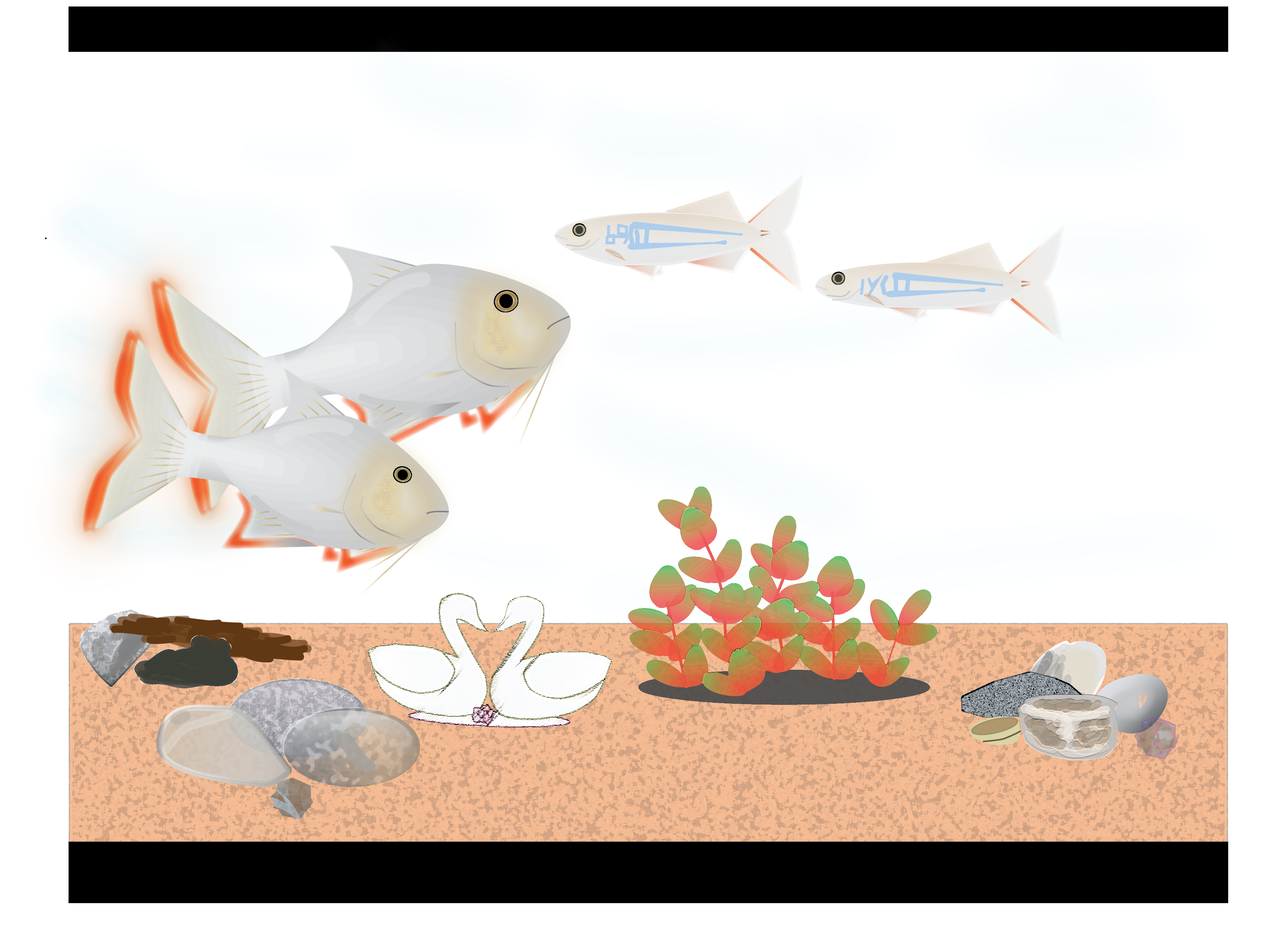 Fish tank illustration